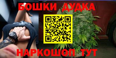 гидра Обь