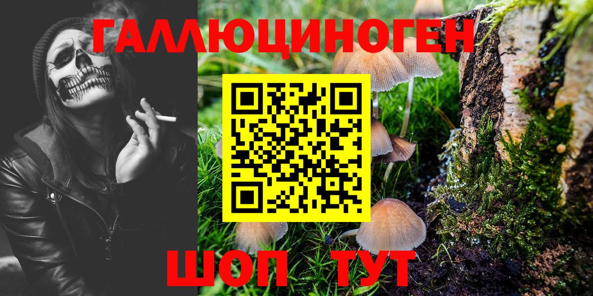 Галлюциногенные грибы Cubensis Пугачёв