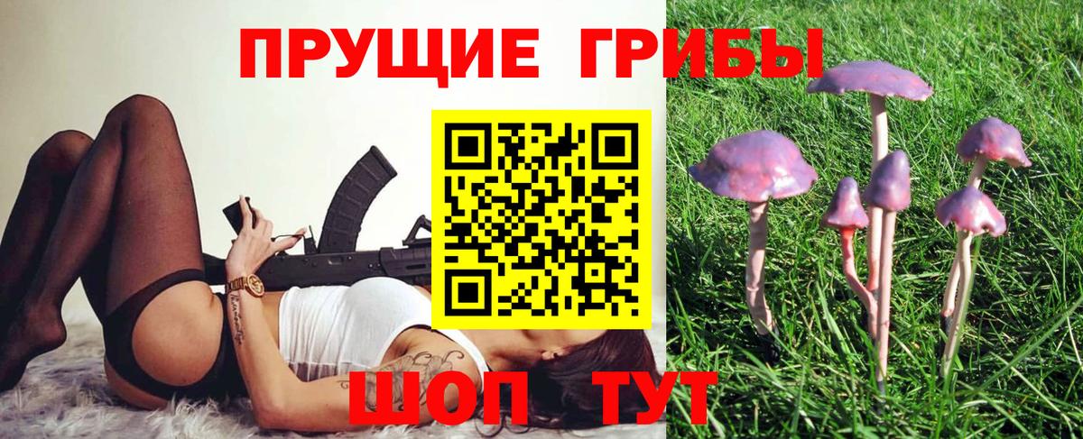 Пугачёв  Галлюциногенные грибы прущие грибы  Галлюциногенные грибы мухоморы  Вход с VPN 