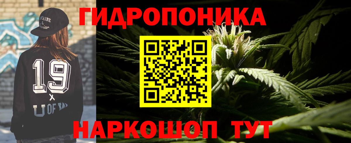 Шишки марихуана индика Пугачёв